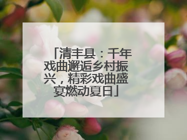 清丰县：千年戏曲邂逅乡村振兴，精彩戏曲盛宴燃动夏日